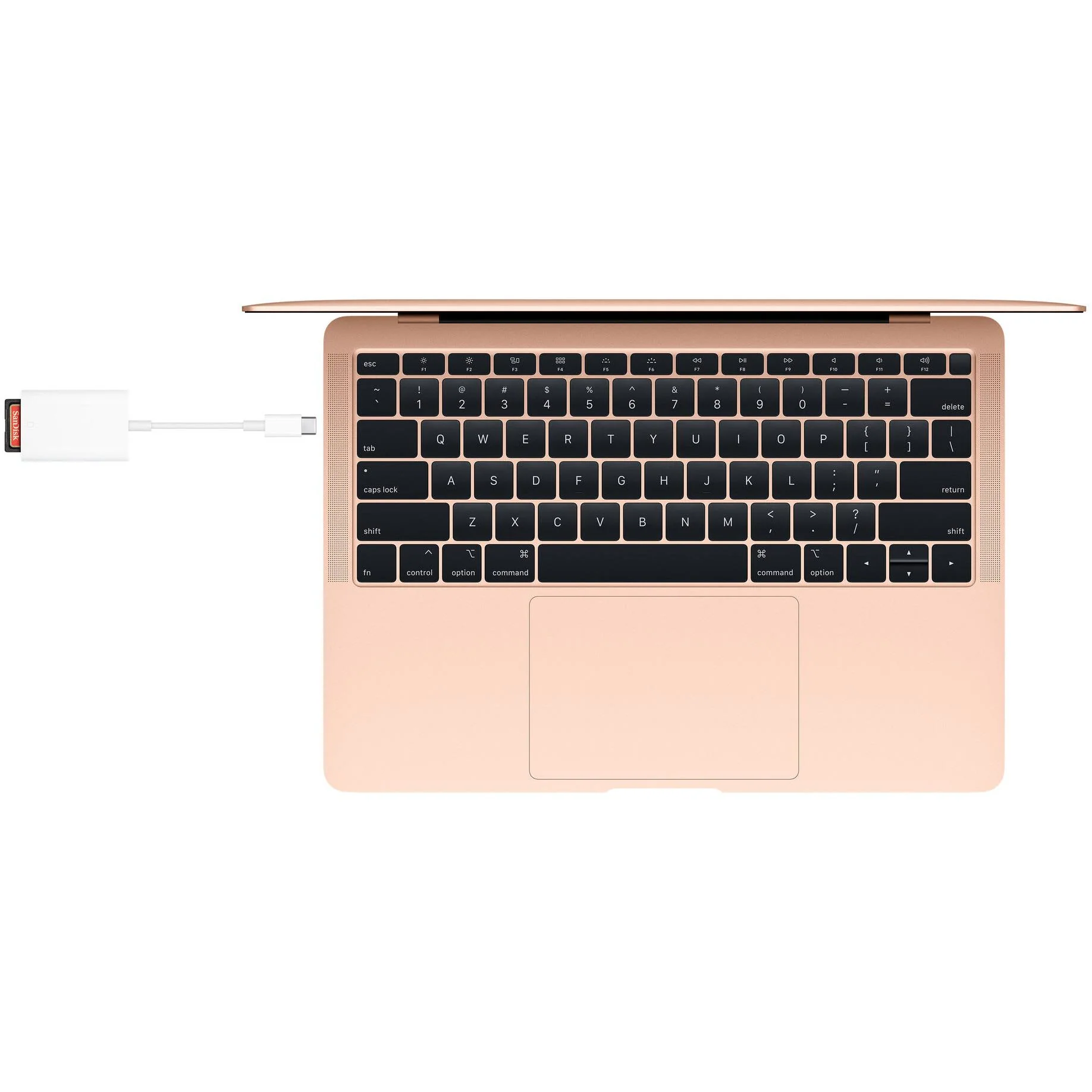 Apple USB-C to SD Card Reader - Image 4