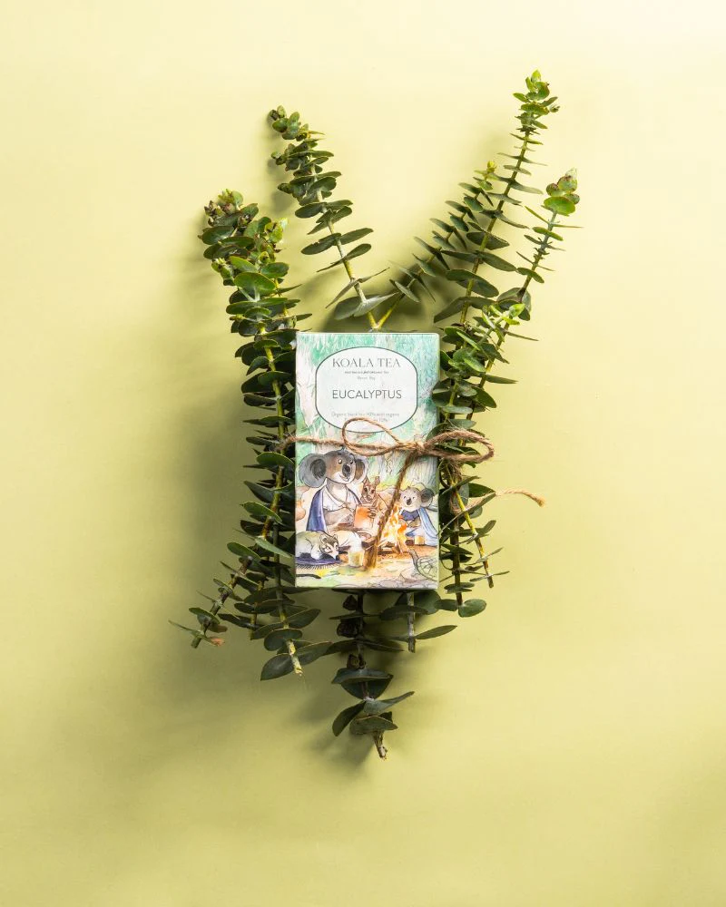 Eucalyptus Koala Design 20 Tea Bags - Image 3
