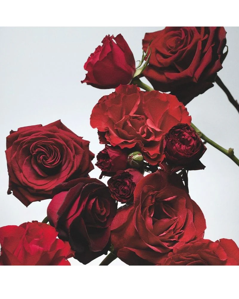 Red Roses Cologne 30ml - Image 2