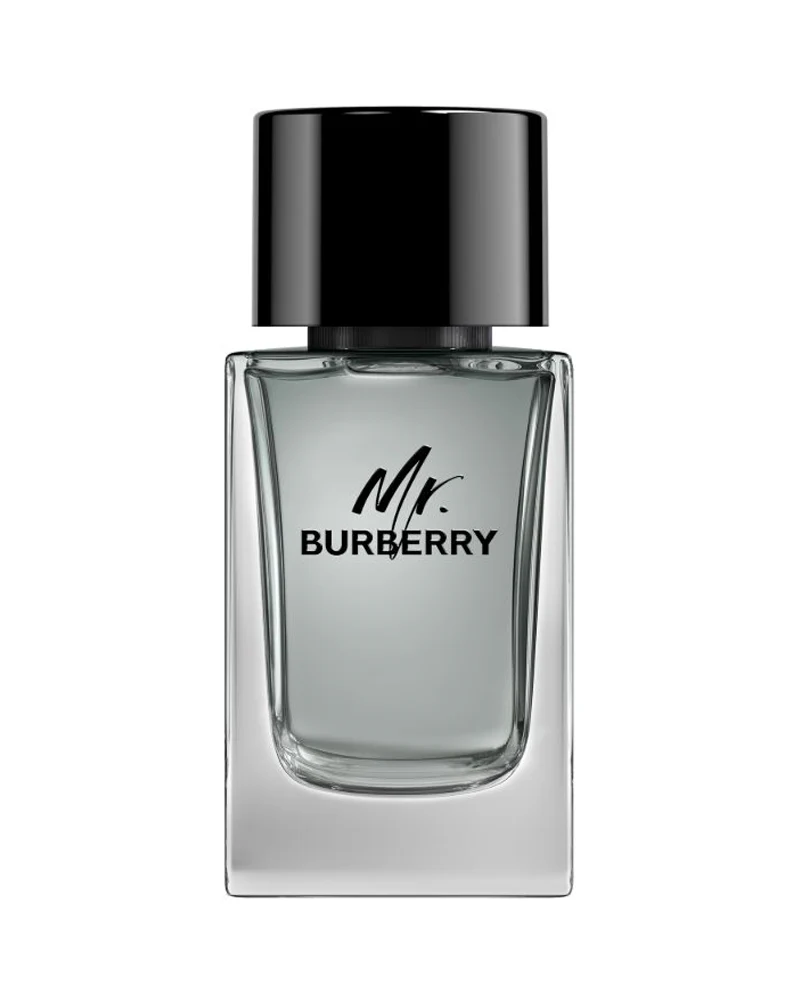 Burberry Mr Burberry Edt 100Ml