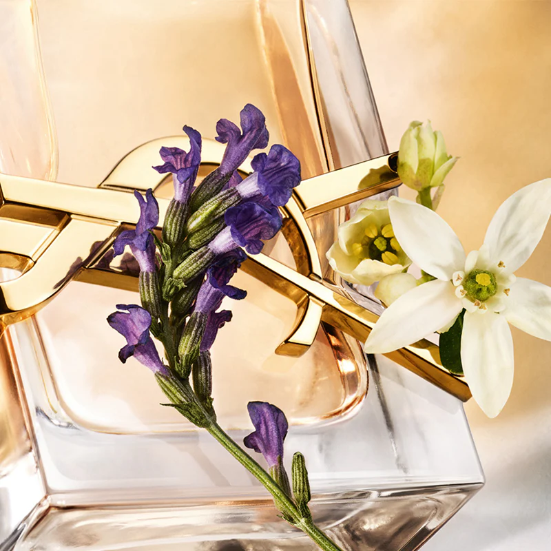 YSL LIBRE 2PCS GIFT SET (YSL LIBRE EDP 90ML + 10ML) - Image 2